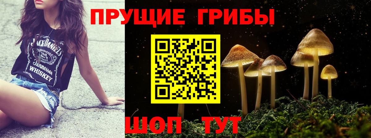 цена наркотик  Псилоцибиновые грибы Psilocybe  Вход с VPN  Псилоцибиновые грибы ЛСД  Сергиев Посад 
