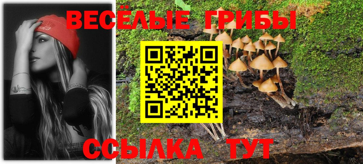 Галлюциногенные грибы мицелий Сергиев Посад